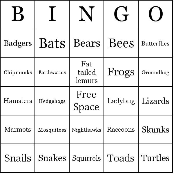 Animals That Hibernate Bingo Card Preview